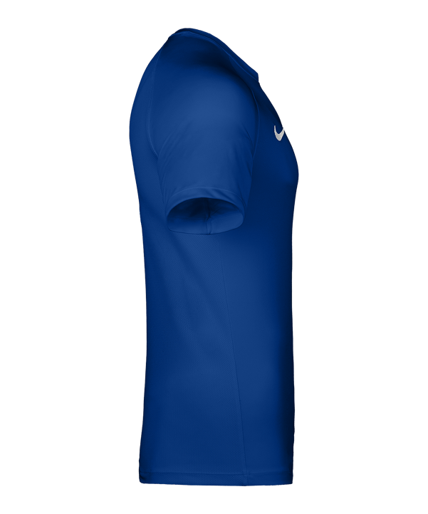 Nike Park VIII Trikot Blau F463 - blau