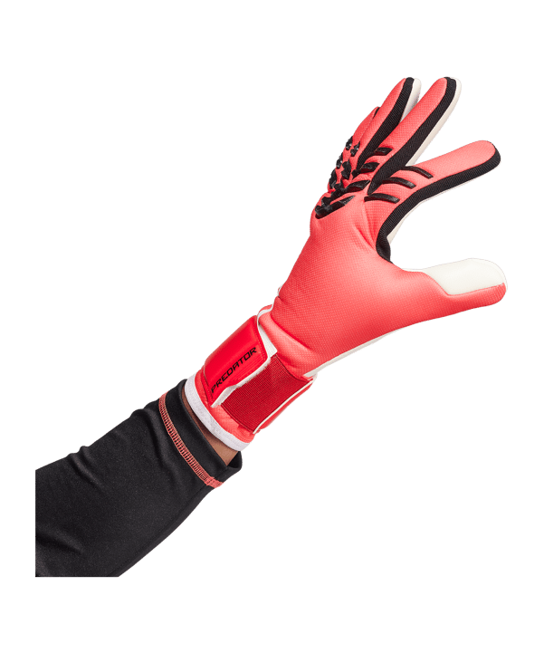adidas Predator League Pure Victory Torwarthandschuhe Rot - rot