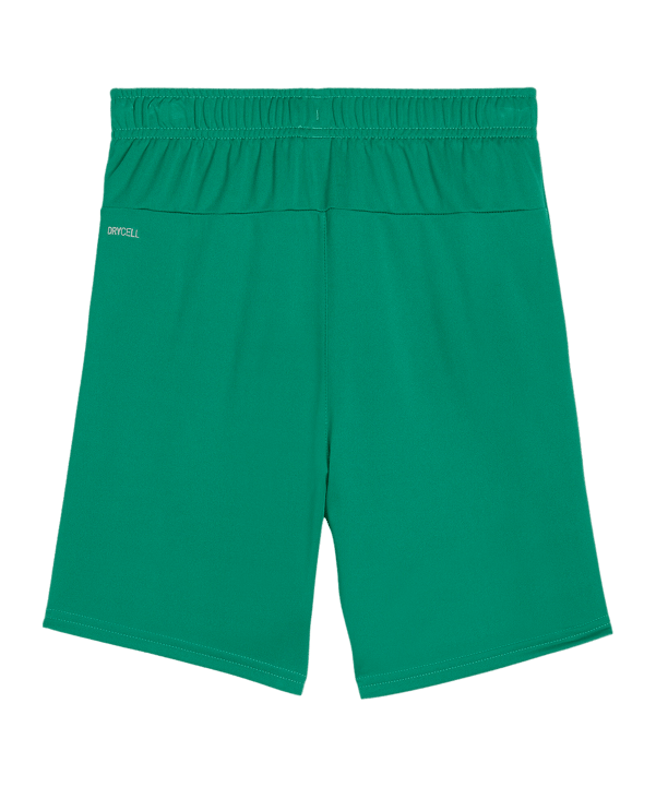 PUMA teamGOAL Short Kids Grün Weiss F05 - gruen