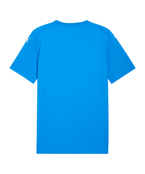 PUMA teamFINAL Graphic Trikot Blau F02 - blau