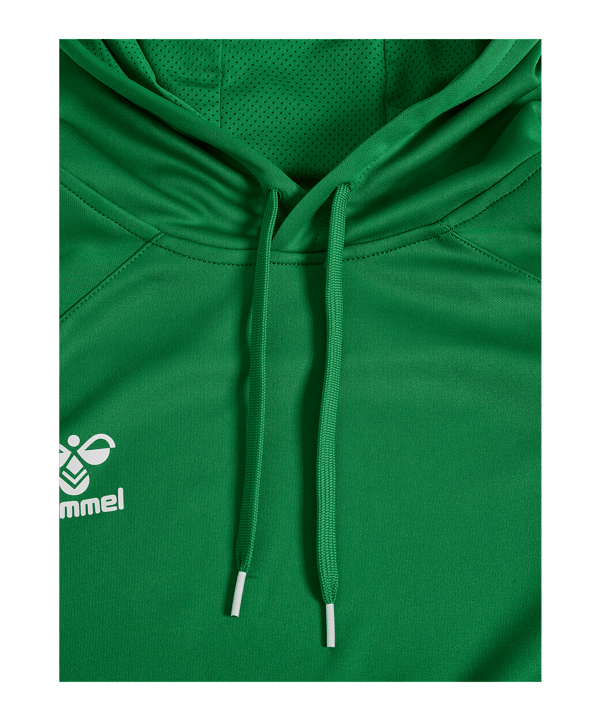 hummel Core 2.0 Hoody Grün F6129 - gruen