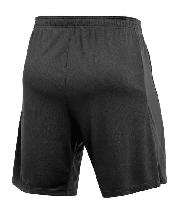 Nike Strike 24 Short Schwarz F010 - schwarz