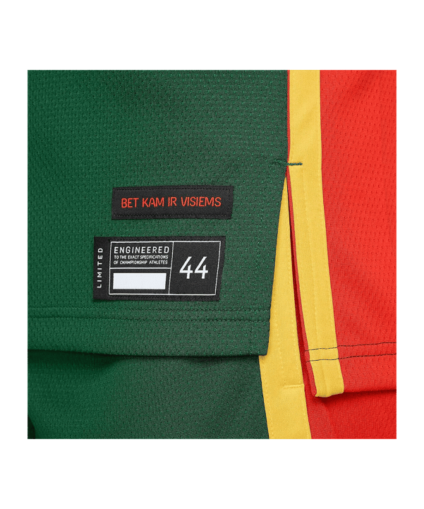 Nike Litauen Limited Trikot Olympia 2024 Grün F341 - gruen