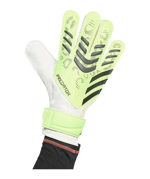 adidas Predator Training Torwarthandschuhe Radiant Blaze Grün - gruen