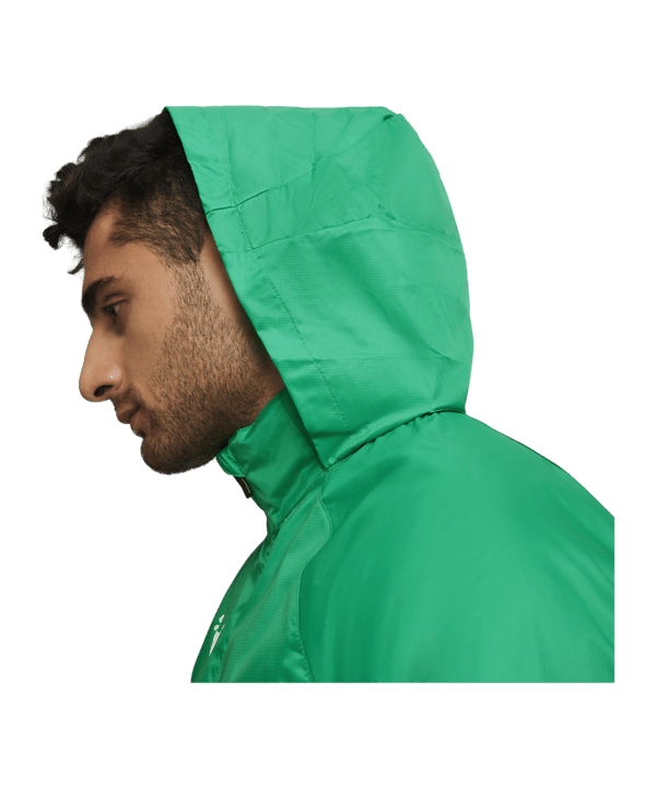 PUMA teamGOAL Allwetterjacke Grün Weiss F05 - gruen