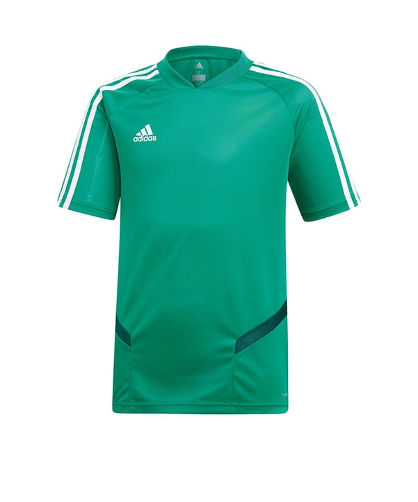 adidas Tiro 19 Trainingsshirt Grün Weiss - gruen