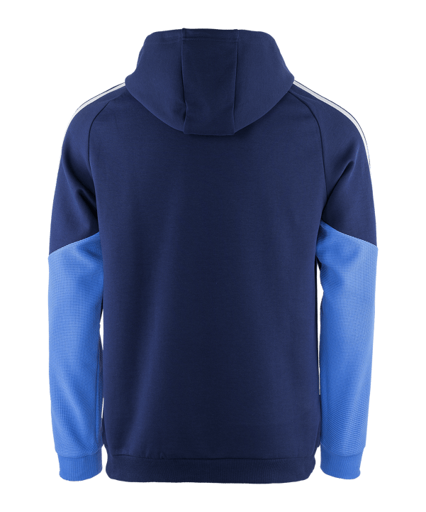adidas FC Schalke 04 Team Hoody Blau - blau