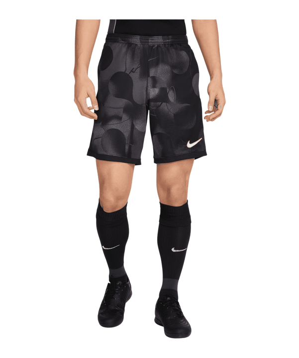 Nike Academy Short Grau F010 - grau