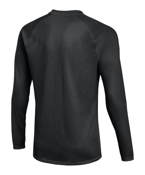 Nike Park VIII Trikot langarm Schwarz F010 - schwarz