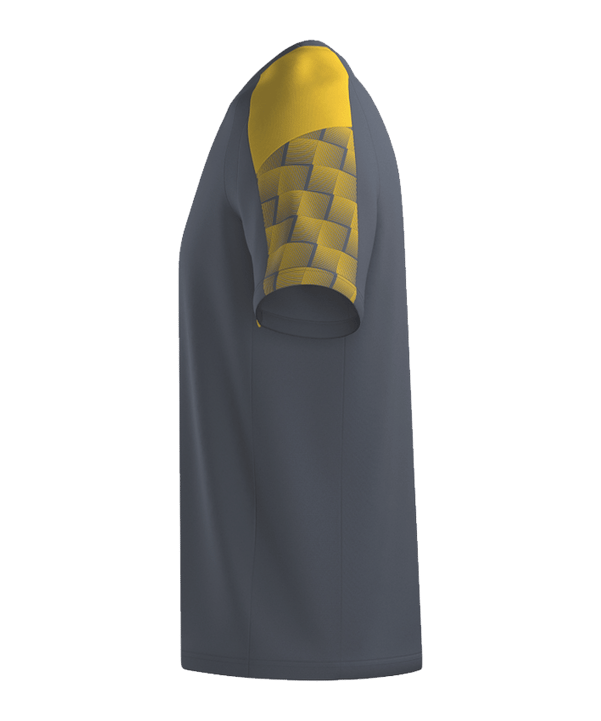 Erima Evo Star T-Shirt Kids Grau Fslategreygelb - grau