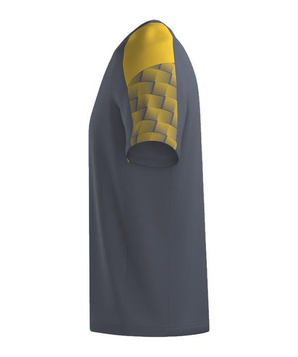 Erima Evo Star T-shirt Kids Grijs Kslategreygelb - grijs