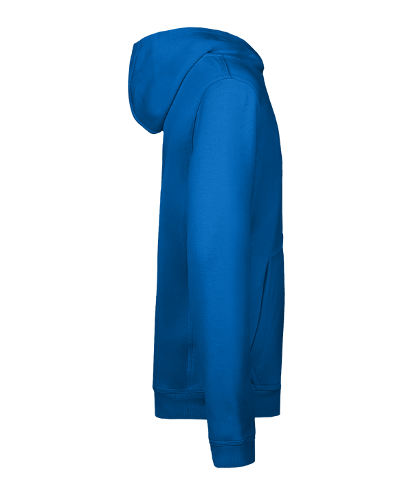 Nike Park 26 Hoody Kids Blau F463 - blau