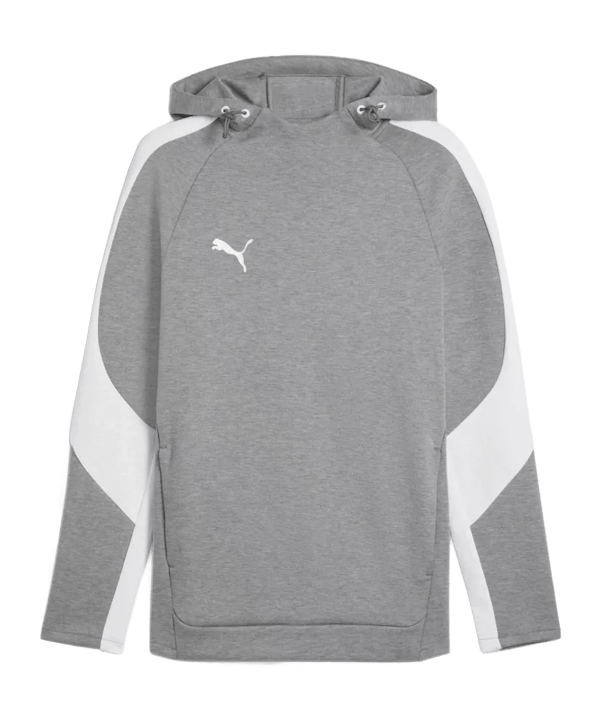PUMA teamEVOSTRIPE Hoody Grau F33 - grau