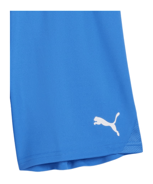 PUMA teamGOAL Korte broek Kids Blauw K02 - blauw
