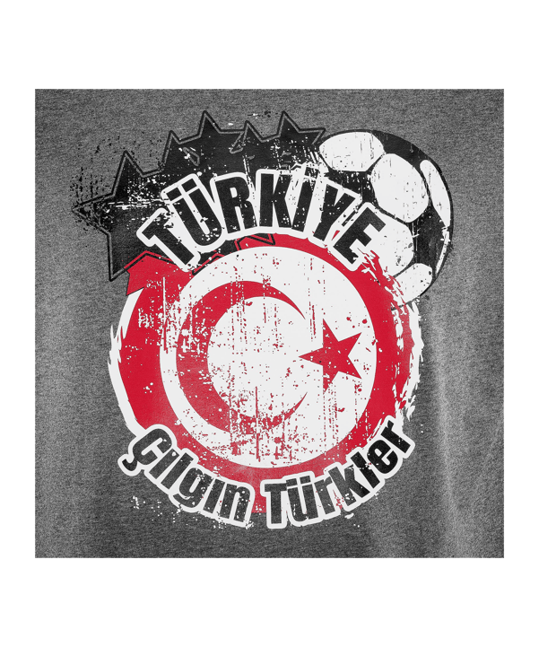 Nike TFF Türkei T-Shirt Grau - grau