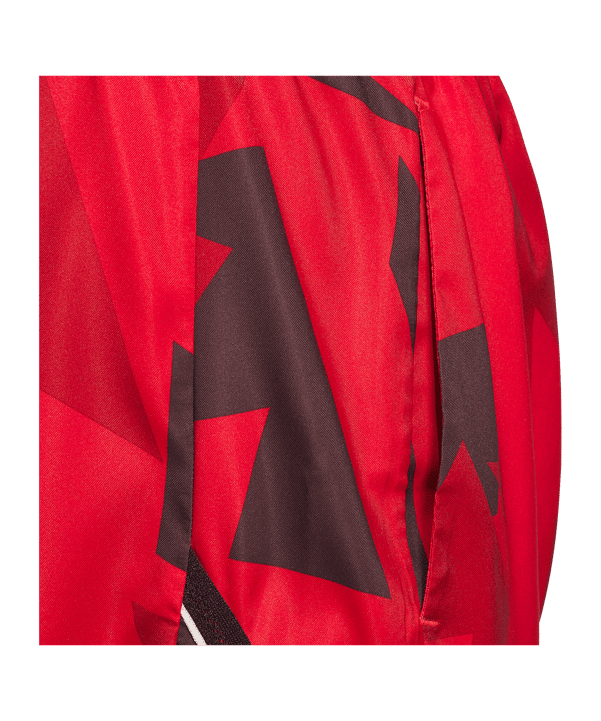 adidas Crazylite Aop 2 Short Lila - rot