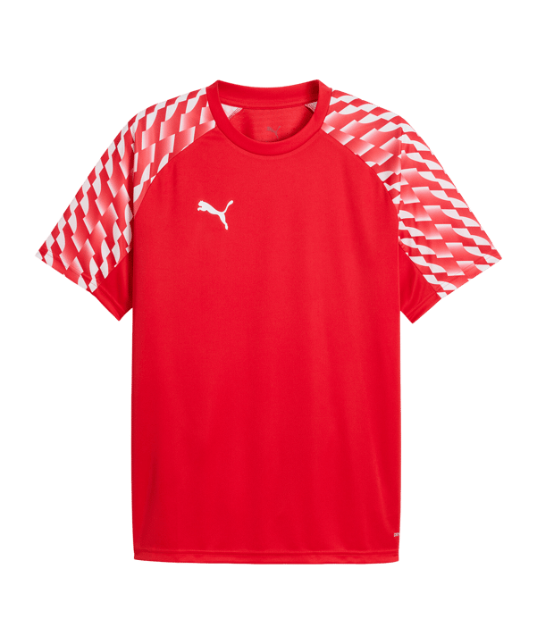 PUMA teamLIGA26 Trikot Rot F01 - rot