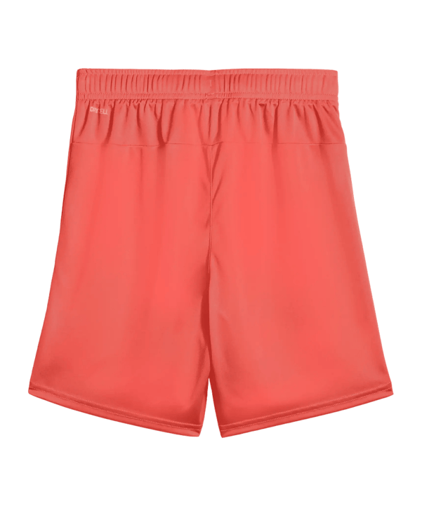 PUMA teamGOAL Korte broek Kids Rood K42 - rood