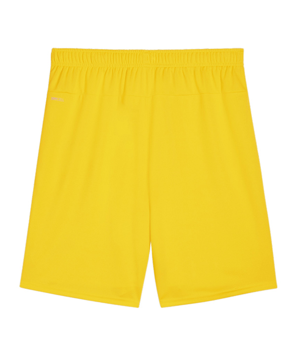 PUMA teamGOAL Short Gelb Schwarz F07 - gelb