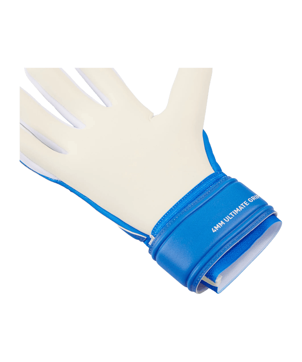 PUMA Ultra Pro Nc Torwarthandschuhe Blau F01 - blau