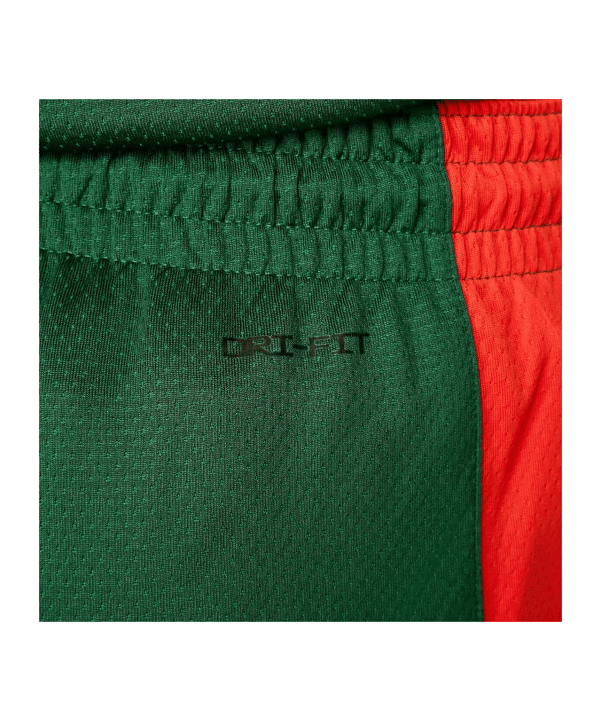 Nike Litauen Limited Road Short Olympia 2024 Grün F341 - gruen