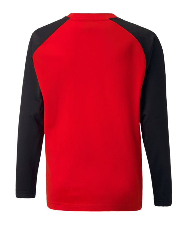 PUMA teamLIGA Sweatshirt Kids Rot F01 - rot