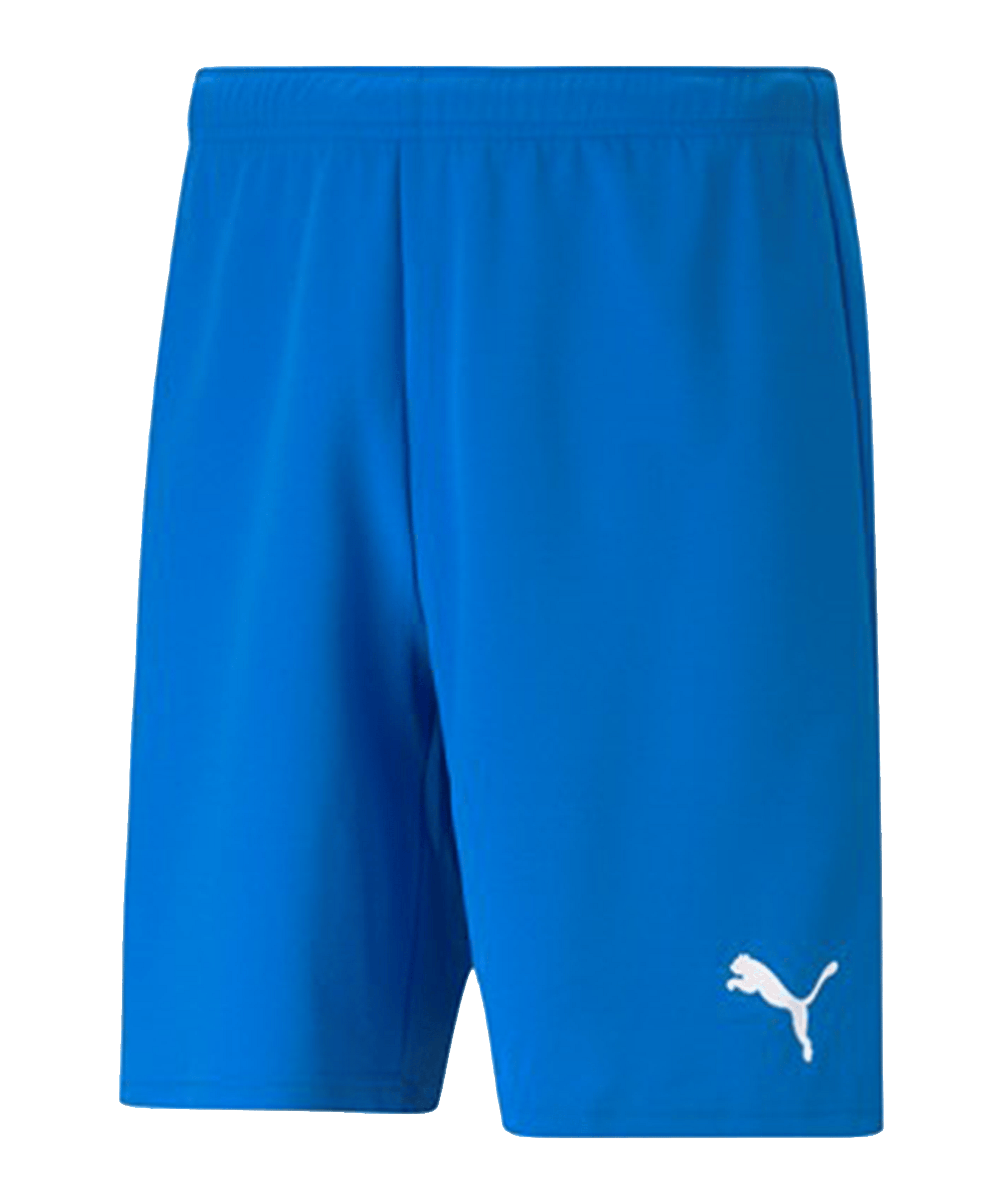 PUMA teamRISE Pantalones cortos Azul C002 - azul