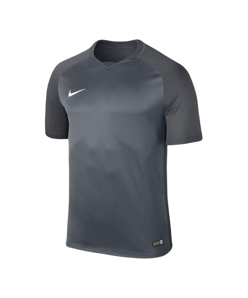 nike-trophy-iii-dry-team-trikot-kurzarm-grau-f065-trikot-vereinsausstattung-maenner-men-shortsleeve-fussball-881483.jpg