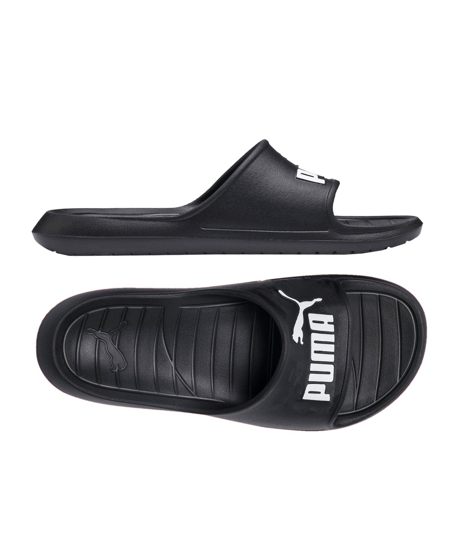 puma divecat v2