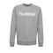 Hummel Cotton Logo Sweatshirt Kids Grau F2006 - Grau