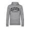 11teamsports ELEVEN Hoody Grau Schwarz - grau