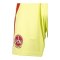 adidas 1. FC Nürnberg Torwartshort Gelb - gelb