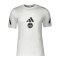 adidas 1. FC Nürnberg Travel T-Shirt Weiß - weiss