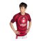 adidas Ajax Amsterdam Pre-Match Trikot 2026/2027 Rot - rot