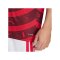 adidas Ajax Amsterdam Pre-Match Trikot 2026/2027 Rot - rot