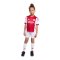 adidas Ajax Amsterdam Mini Trikot Set Home 2025/2026 Kids Weiß - weiss