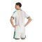 adidas Algeria 26 Home Authentic Jersey White - beige