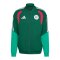 adidas Algerien Tiro Präsentationsjacke Grün - gruen