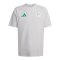 adidas FAF Algerien Tiro Tech T-Shirt Grau - grau