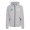 adidas FAF Algerien Tiro Travel Windjacke Grau - grau