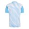 adidas AFA Argentinien Messi Pre Match Trikot 2026 Weiß - weiss