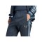 adidas AFA Argentinien Messi Track Hose 2026 Blau - blau