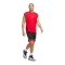 adidas Badge of Sport Short Schwarz - schwarz