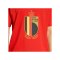 adidas Belgien DNA Graphic T-Shirt Rot - rot