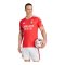 adidas Benfica Lissabon Trikot Home 2026/2027 Rot - rot