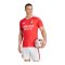 adidas Benfica Lissabon Trikot Home 2026/2027 Rot - rot