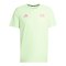 adidas BMW Berlin-Marathon 2025 T-Shirt Grün - gruen
