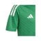 adidas Campeon 23 Trikot Kids Grün - gruen