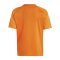 adidas Campeon 23 Trikot Kids Orange - orange