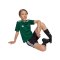 adidas Trikot Kids Grün - gruen
